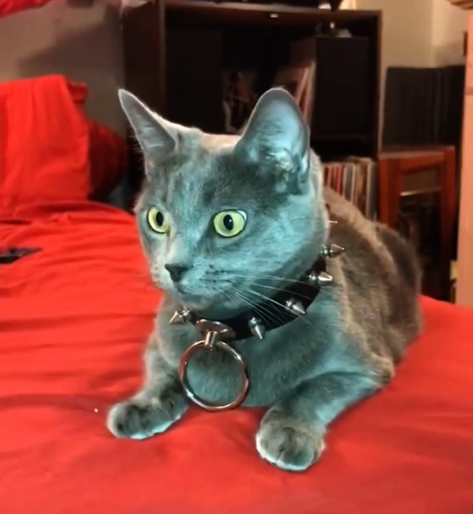 C