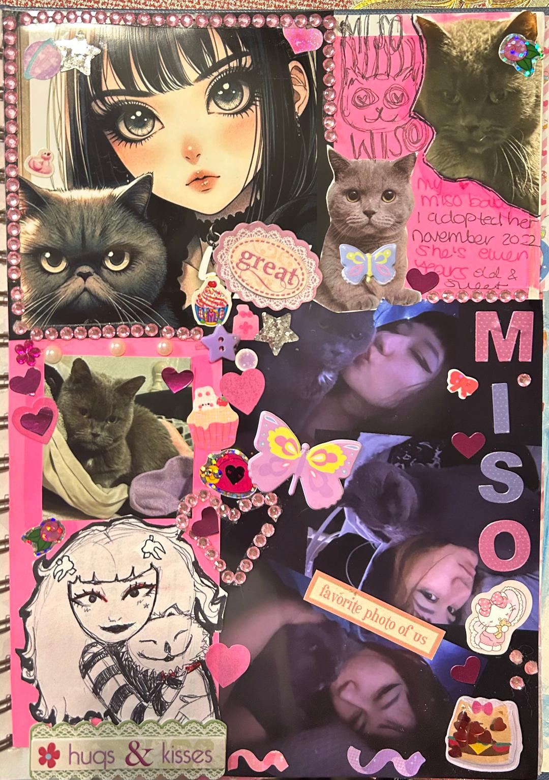 Miso 2