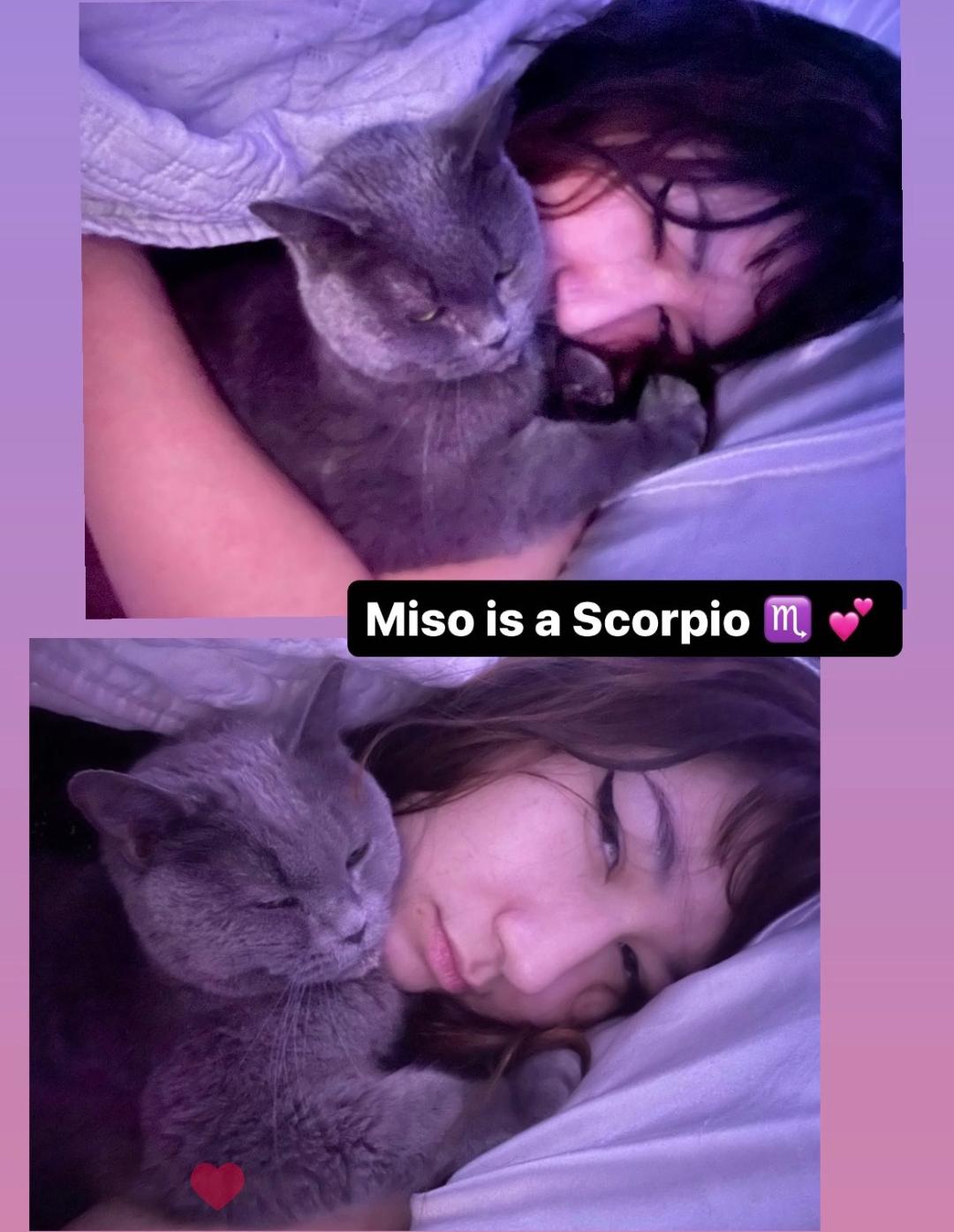 Miso 1