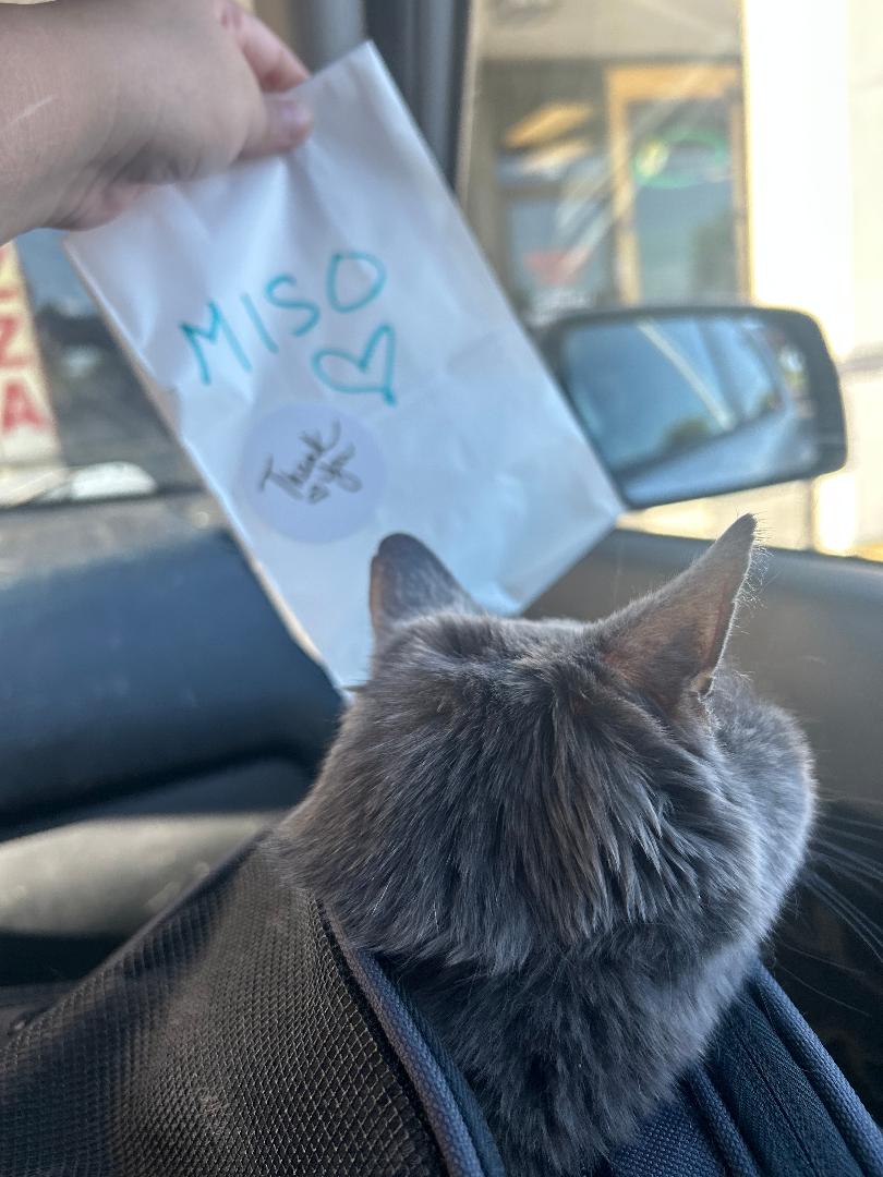 Miso 3
